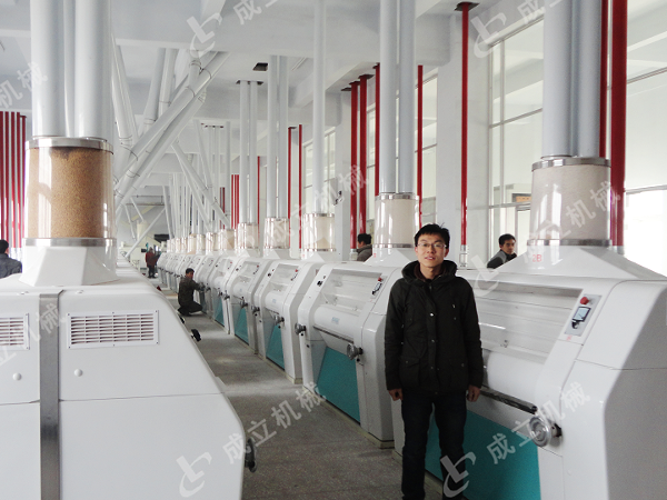 大型日產(chǎn)200噸面粉加工廠(chǎng)設(shè)備，自動(dòng)化生產(chǎn)線(xiàn)